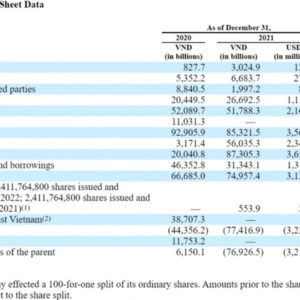 VinFast reports loss of nearly $4.7 billion, debts of $8.8 billion; VF8 car is accused of software error